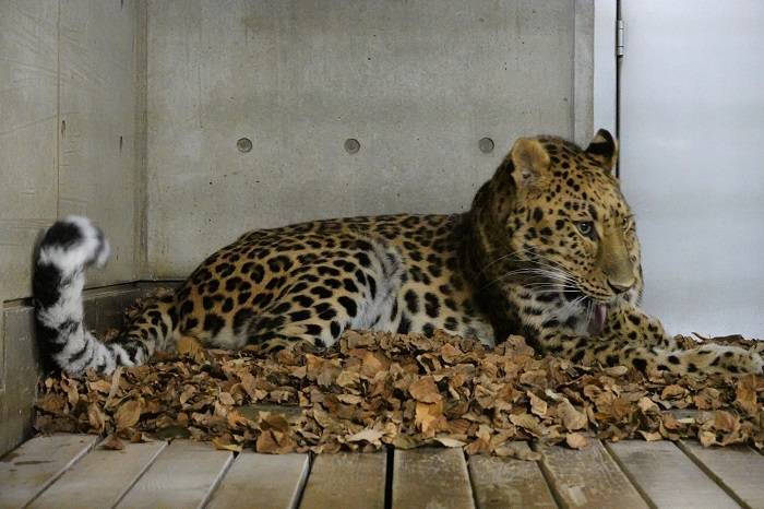 4 満喫するダッシュ.jpg