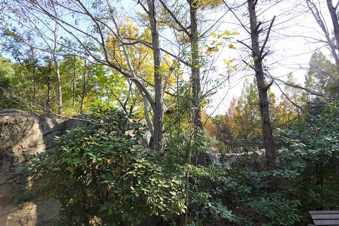 5 展示場の方を見て頂くと.jpg