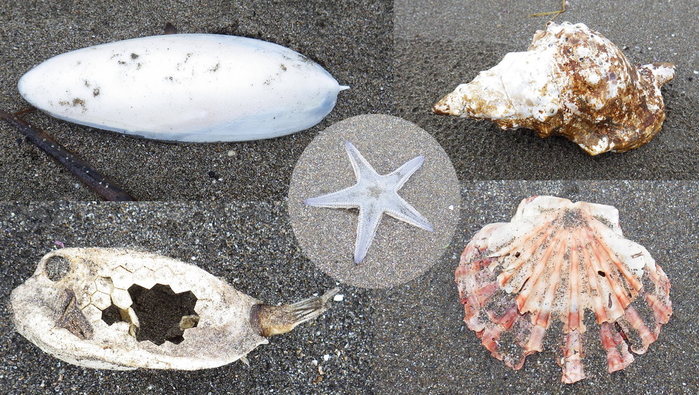 名称未設定 1.jpg