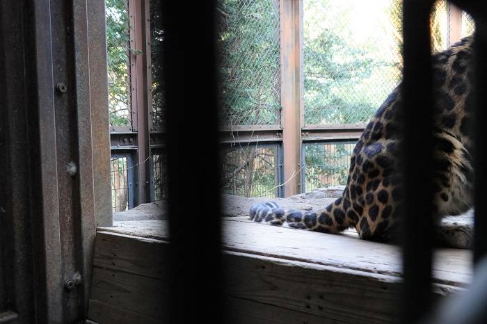 14 入りません!!.jpg