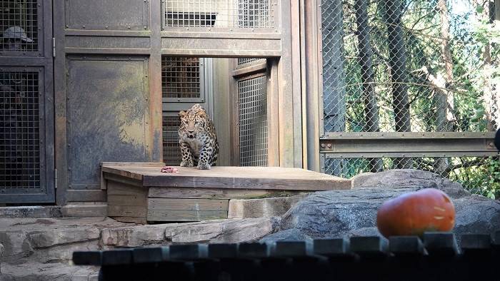 6 固まるトライ.jpg