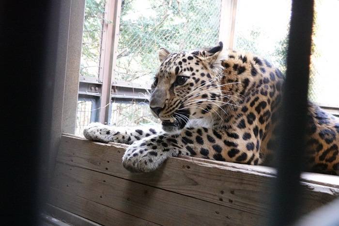 13 中は気になるけど.jpg