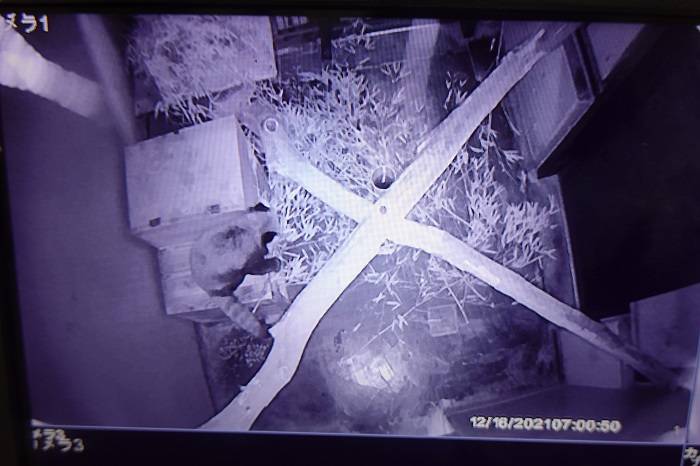 12 監視カメラでチェック.jpg