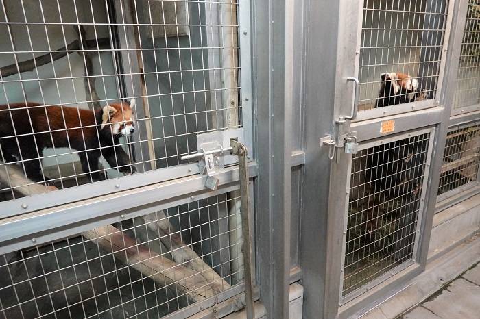 6 お互いの寝室チェック.jpg