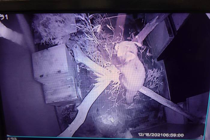 11 監視カメラでチェック.jpg