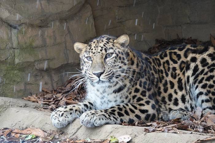 22 寒いねトライ.jpg