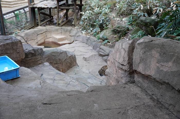 4 そしてこっちを見ません.jpg