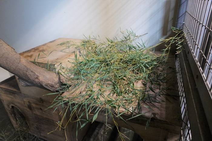 3 台の上につけた竹も.jpg