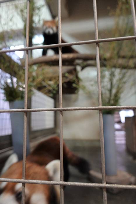 12 写真ぼやけちゃいましたが.jpg