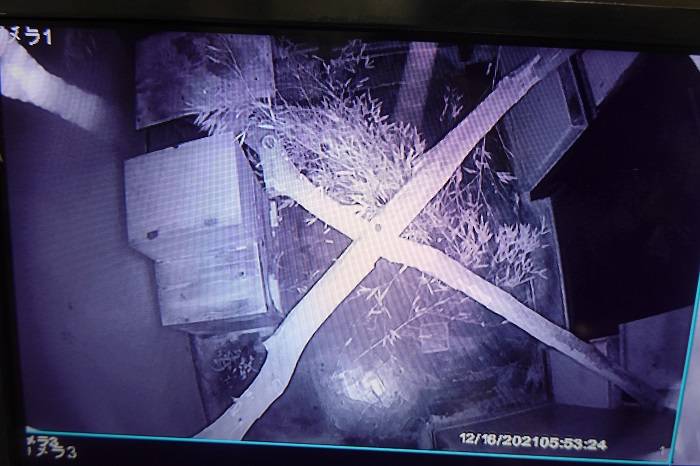 7 監視カメラでチェック.jpg