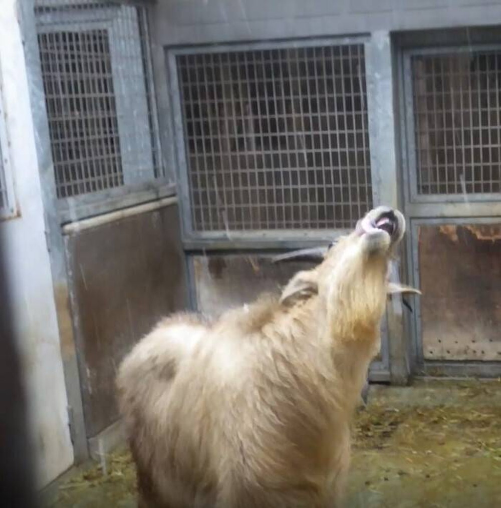 コメント 2020-03-18 181751.jpg