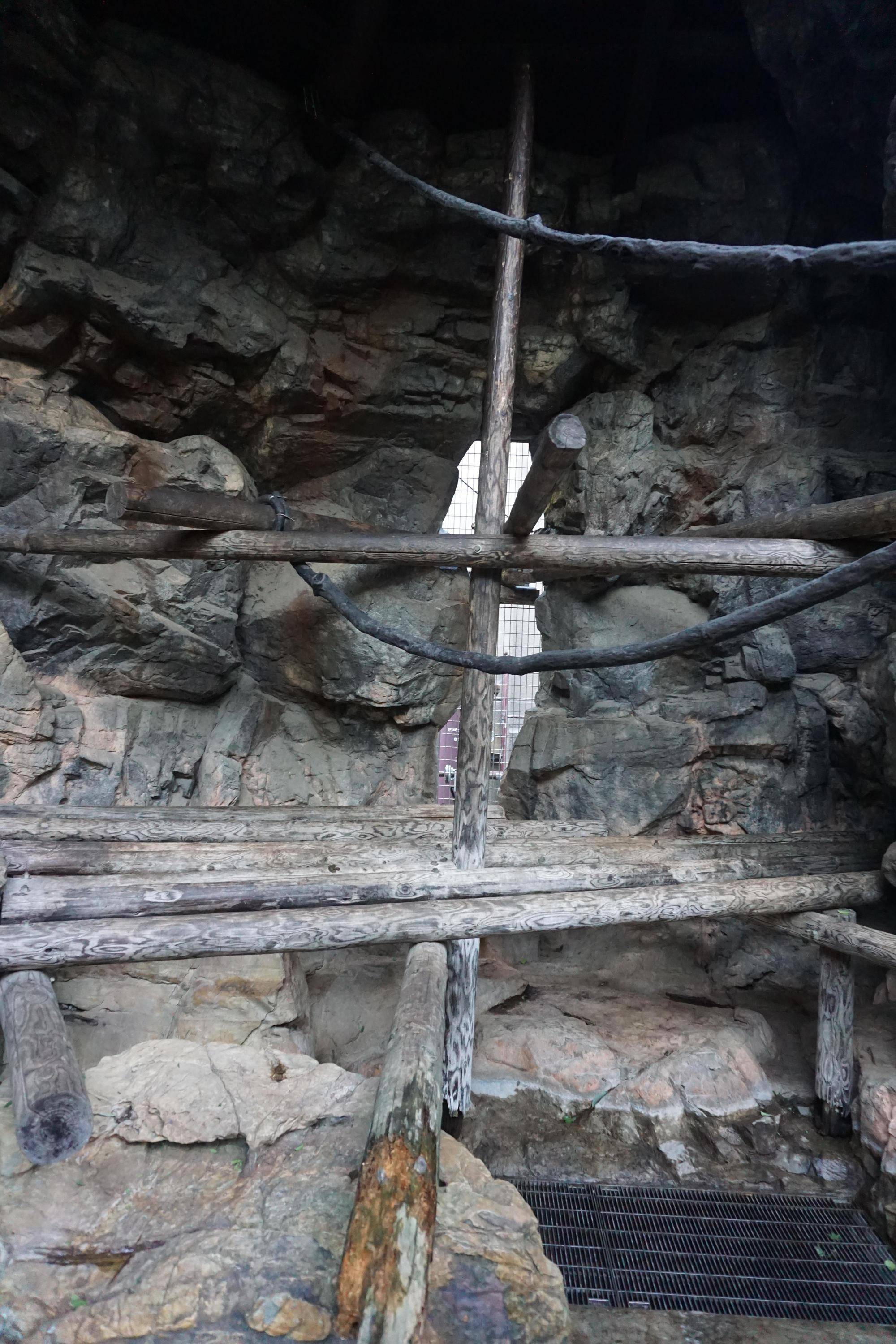 テングザル展示場流れ上流 (1).jpg