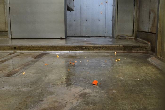 9 暫くするとなくなっているカボチャ.jpg