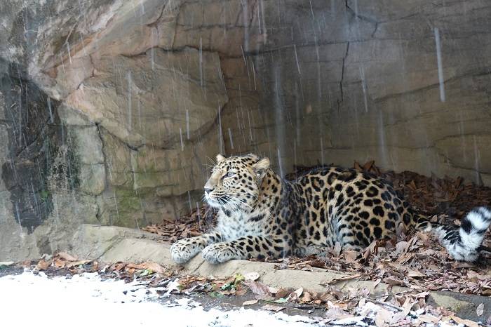 18 洞穴に避難.jpg