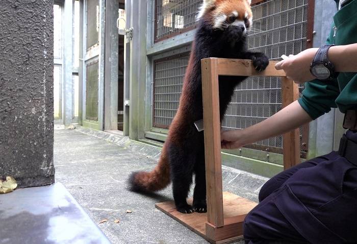 7 ちょっと慣れたかな?.jpg