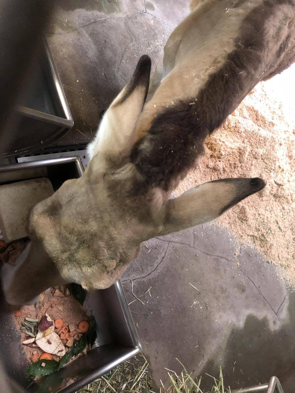 ミンミン誕生日 (2).jpg