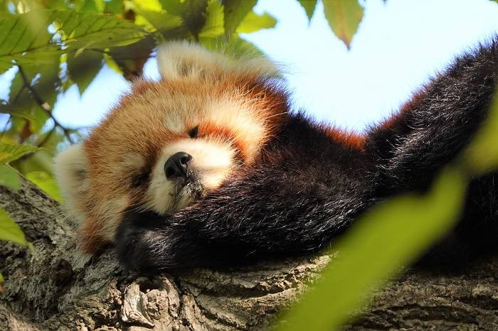 6 気持ちよさそうです.jpg