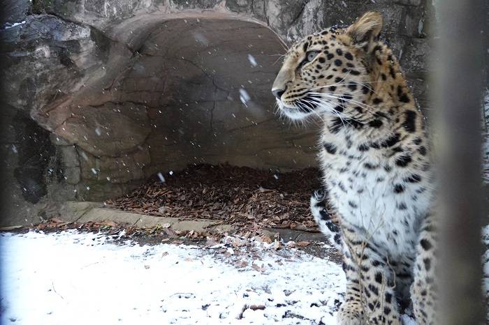 13 トライは洞穴に避難していました.jpg