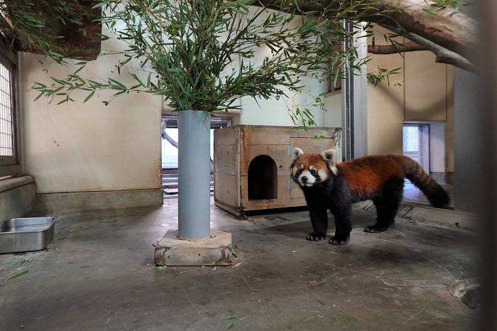 5 お互い無関心.jpg