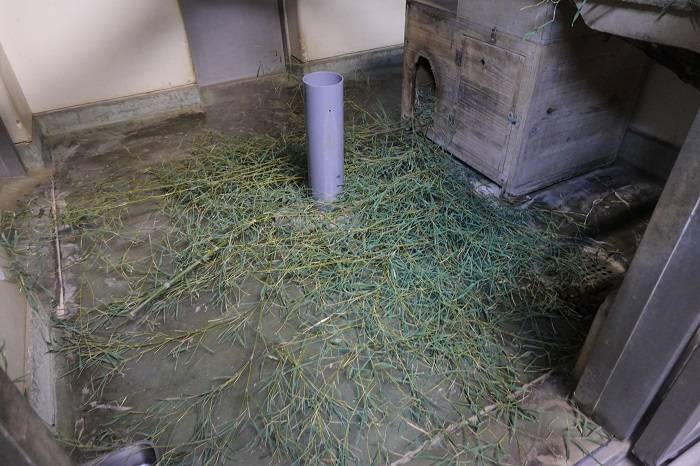 2 また別の日も.jpg