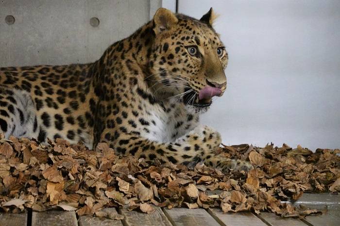 7 満喫するダッシュ.jpg