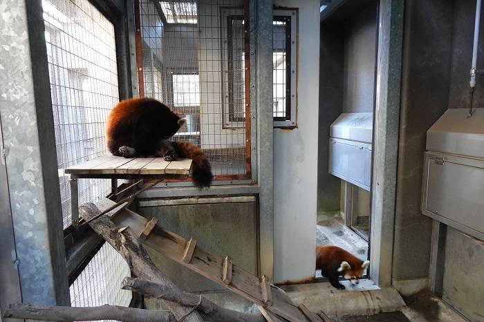 6 お互い無関心.jpg