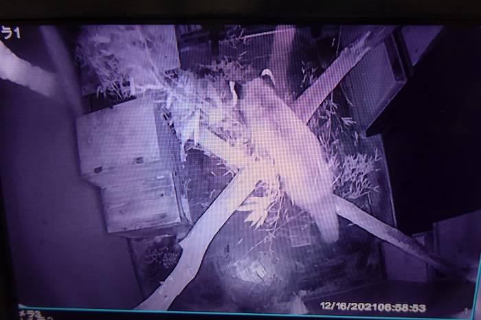 10 監視カメラでチェック.jpg