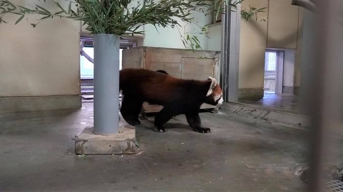 3 お互い無関心.jpg