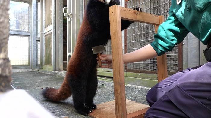 6 お腹は触れるけれど....jpg