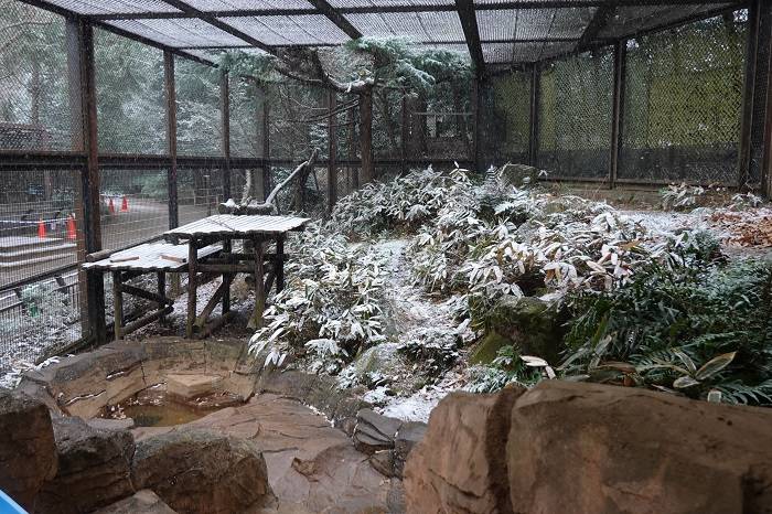 1 雪が降ってきた展示場.jpg