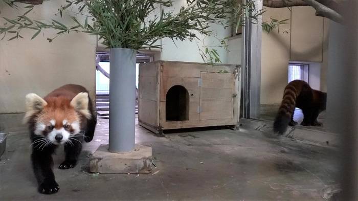 1 お互い無関心.jpg