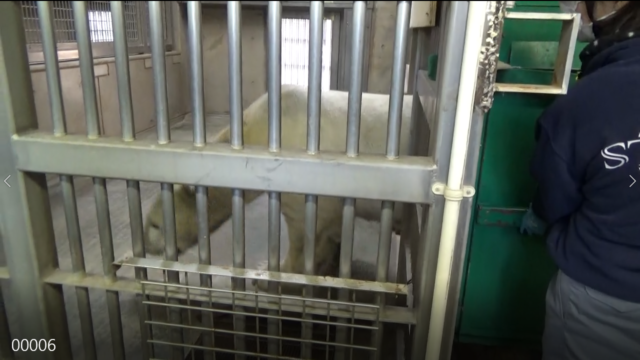 スクリーンショット (58).png