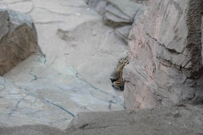 3 ちょっとしか見えません.jpg