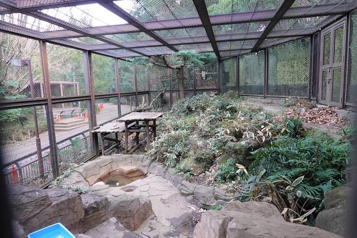 1 トライはどこにいるでしょう.jpg