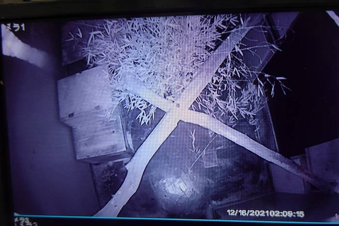 6 監視カメラでチェック.jpg