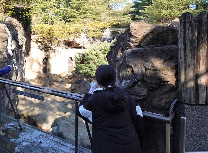 4 じーっと観察.jpg