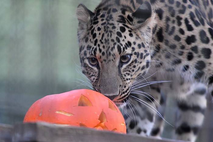 12 なんだろうこれ.jpg