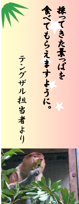 短冊.png
