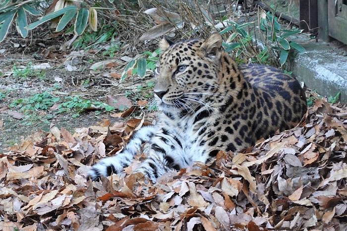 7 気に入ってくれた?.jpg