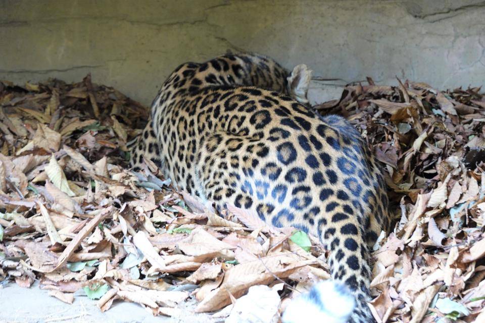 6 臭いチェック中.jpg