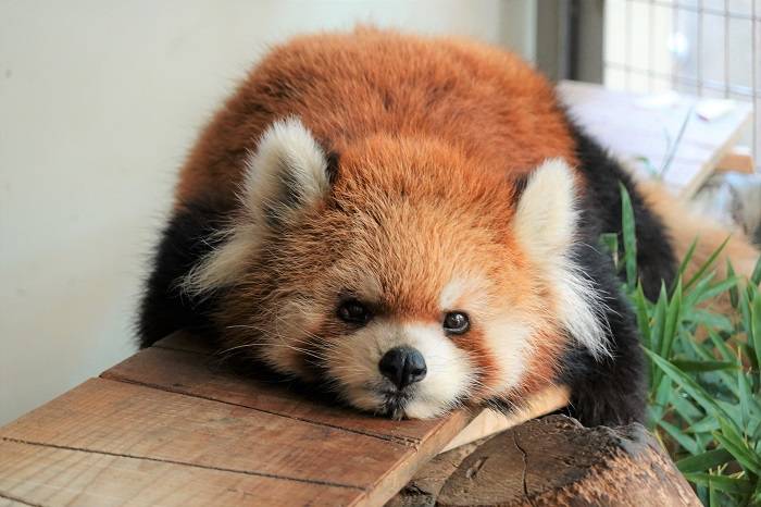 3 リラックス.jpg