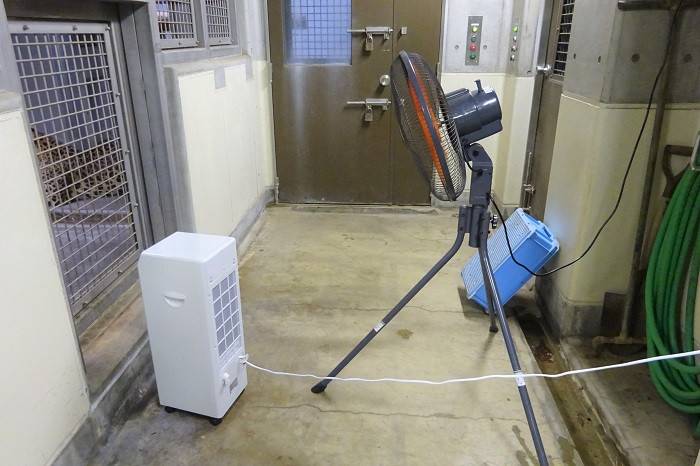 6.室内で冷風機も稼働.jpg