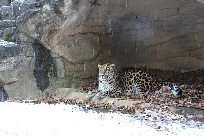 17 洞穴に避難.jpg