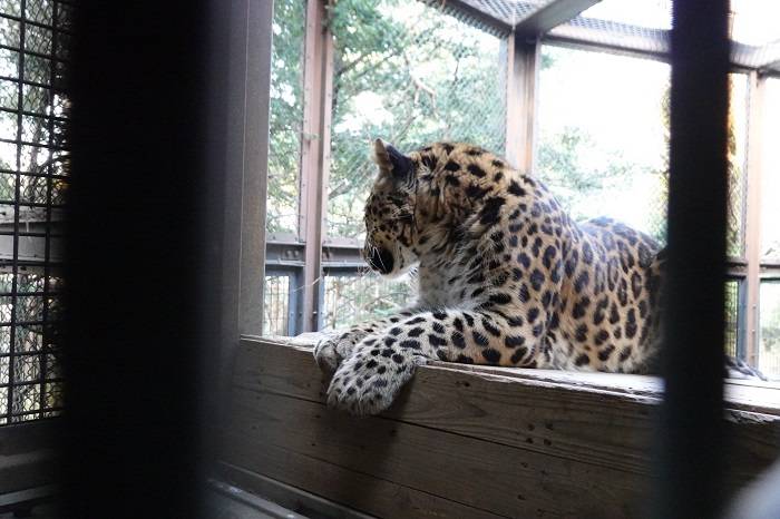 10 そっぽを向いて~.jpg