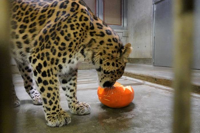 7 後日ダッシュにもあげてみました.jpg