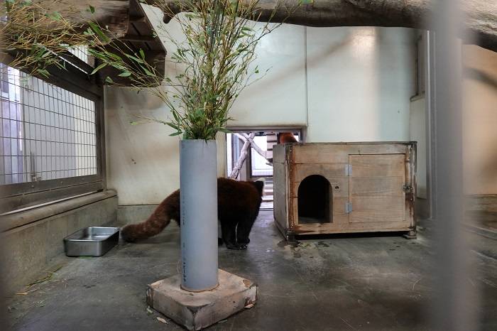 1 室内同居の様子.jpg