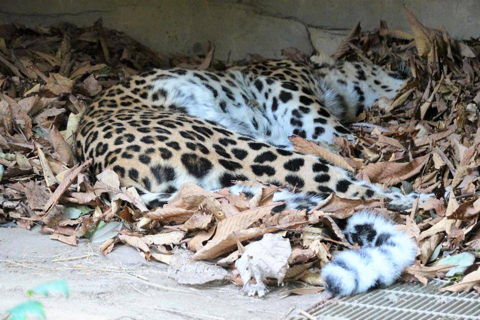 11 気に入ってくれたようです.jpg