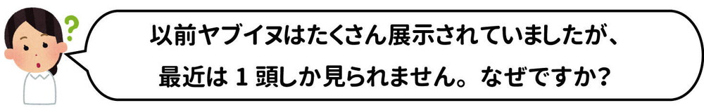 質問8ヤブイヌ.jpg