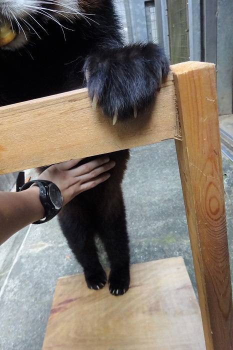 4 お腹を触っても大丈夫.jpg