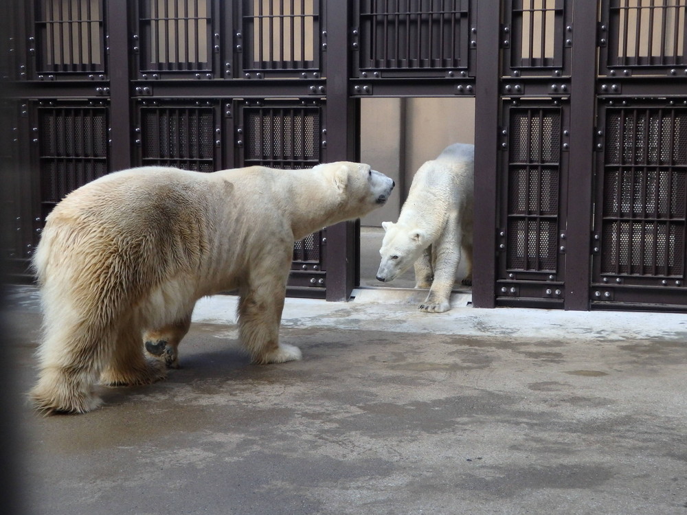 P2280262.jpg